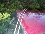 Power lines taught against the windshield and roof.