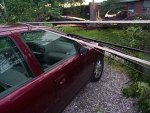 The tree split in two right in front of the car.